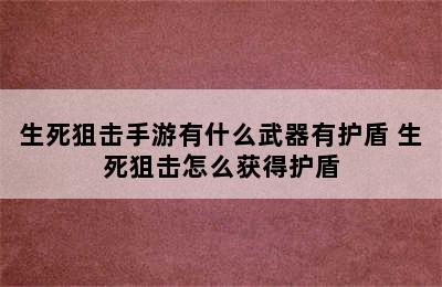 生死狙击手游有什么武器有护盾 生死狙击怎么获得护盾